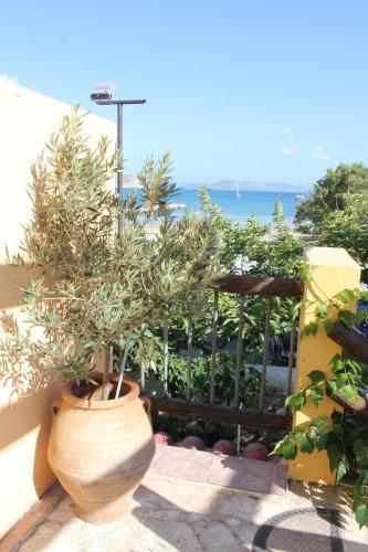 Filanthi Rooms — Methoni — photo 4