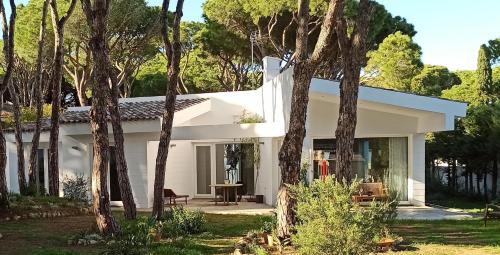 Diseno Y Luz Entre Los Pinos in Chiclana De La Frontera, Spain