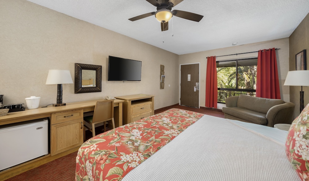 Caliente Tropics Hotel - photo 17