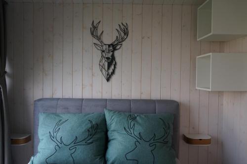 Tinyhouse Heimatglück — Bad Berleburg — photo 4