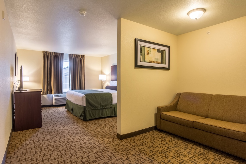 Cobblestone Hotel & Suites Greenville - photo 19