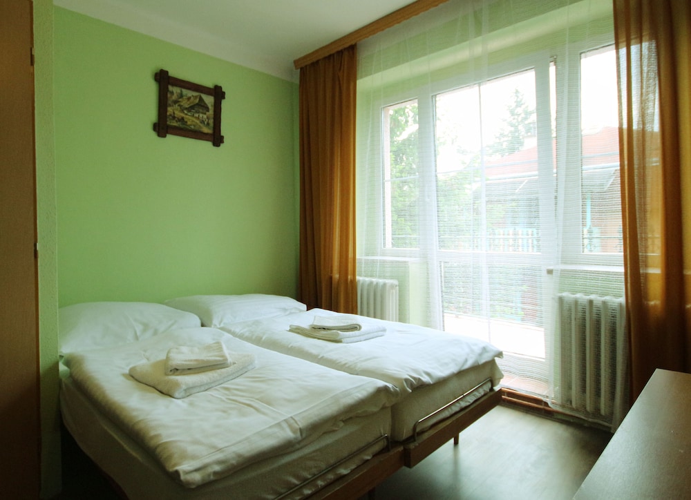 Hotel Bor — Bila Lhota — photo 4