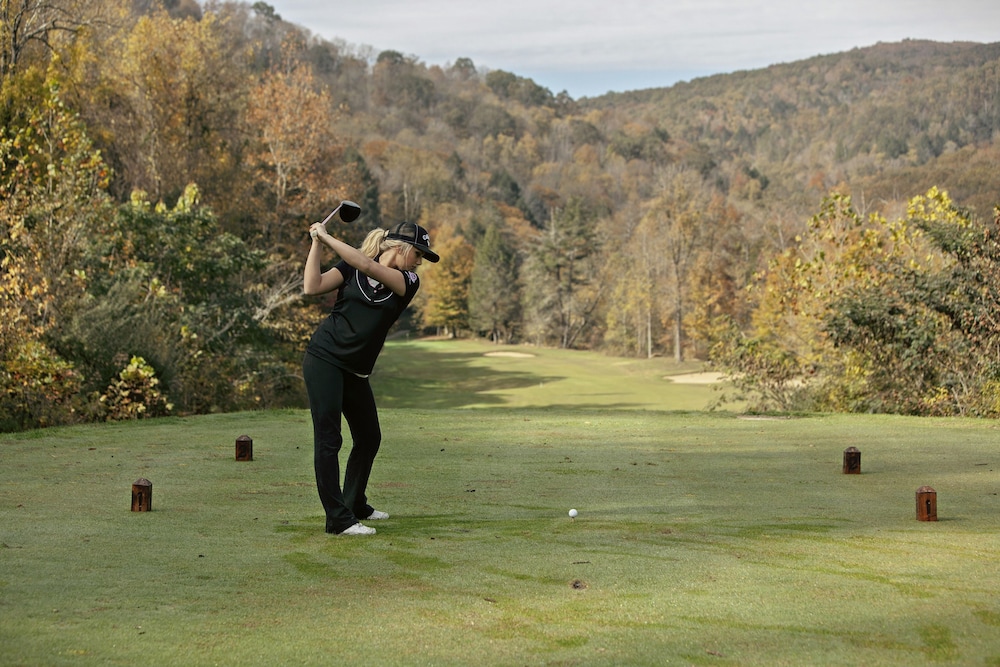 Pine Mountain State Resort Park - photo 34