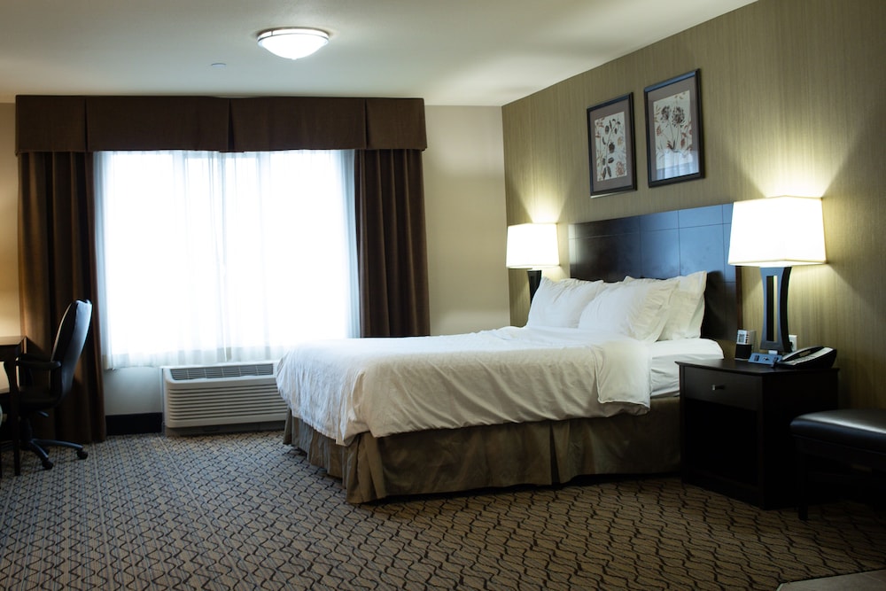 Holiday Inn Express & Suites Williston by IHG - photo 21