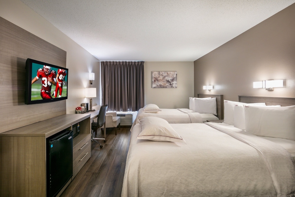 Red Roof Inn PLUS Boston Logan - photo 25