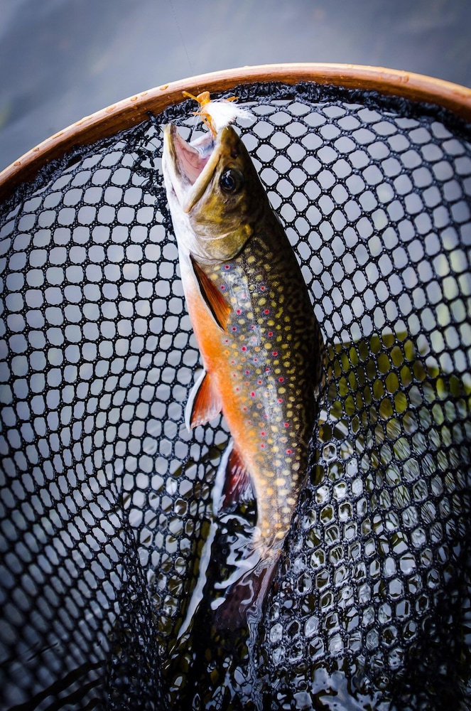 North Branch Outing Club - photo 39