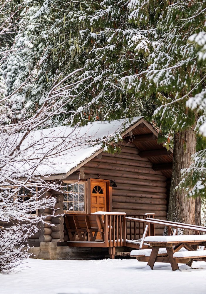 Lochsa Lodge Resort - photo 147