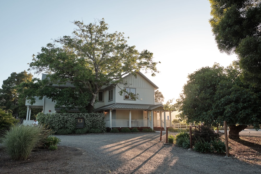 The Setting Inn Napa Valley - photo 50