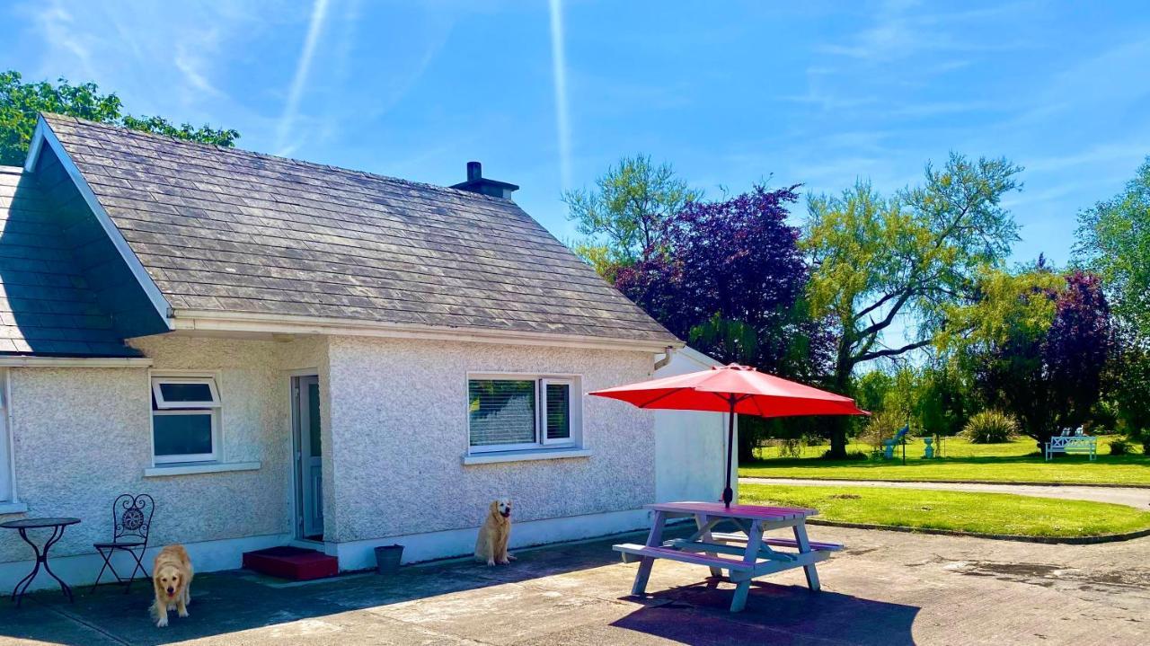 Nolans organic farm in Loch Garman, Republic of Ireland