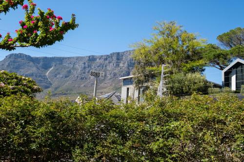 Tamboerskloof Luxury Apartment.