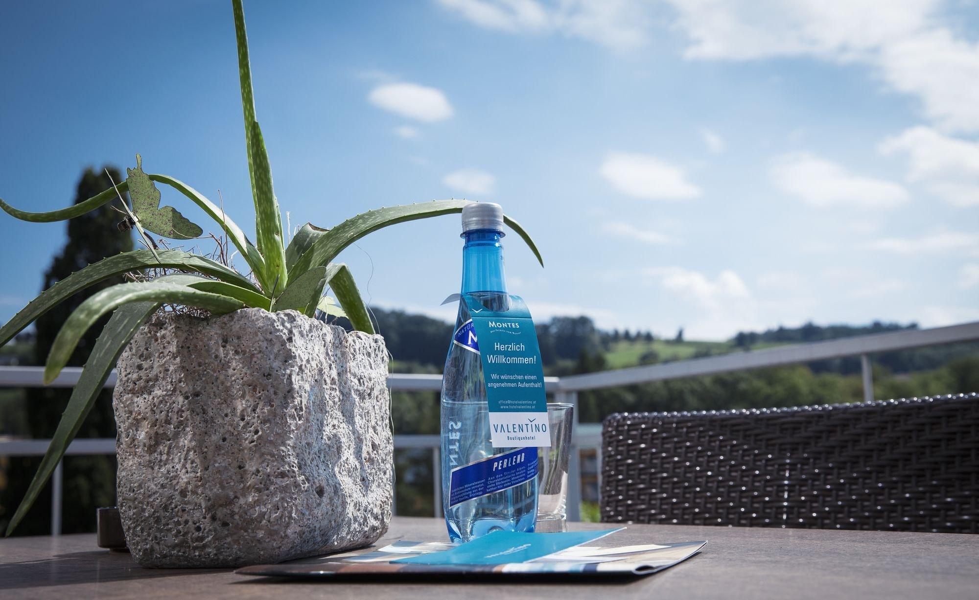 Boutiquehotel Valentino in Bad Schallerbach, Austria