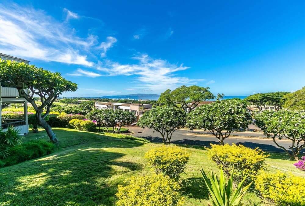 Wailea Ekolu #501 - photo 12