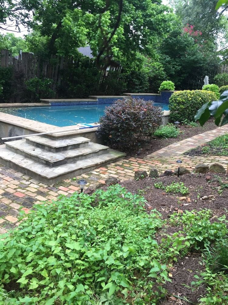 Fig Tree Manor - photo 32