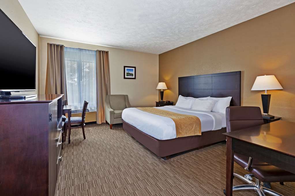 Comfort Inn Whitehall near Michigan's Adventure - photo 11