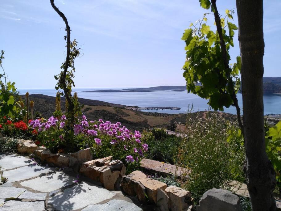 Panorama Family House — 4-Star Luxury Hotel in Sitia, Greece