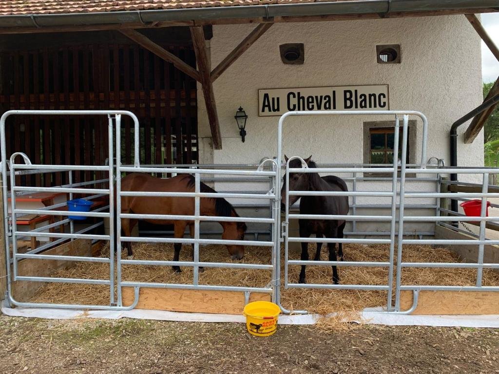 Au Cheval Blanc — hotel in Porrentruy