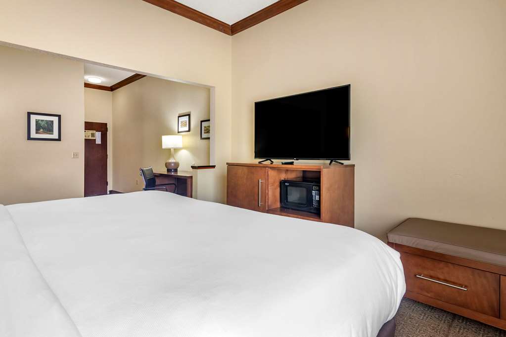Comfort Inn & Suites Statesboro University Area - photo 19