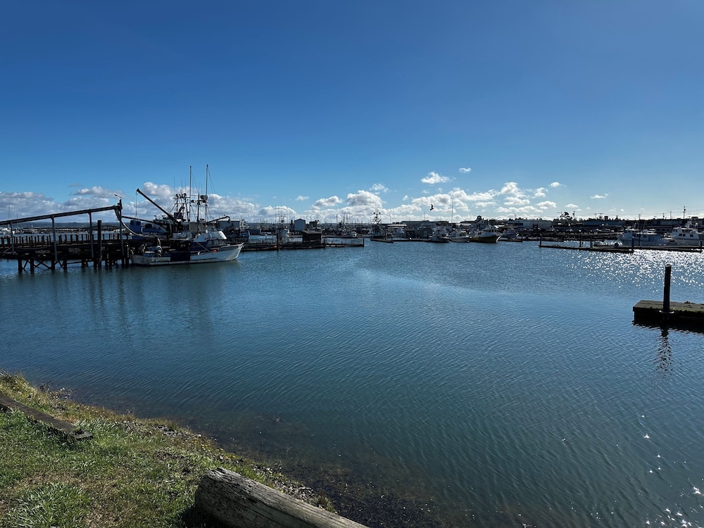 Westport Marina Cottages - photo 72