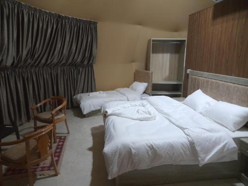 Wadi Rum Gem in Unknown City, Jordan