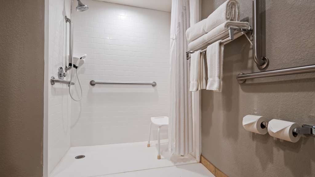Best Western Plus Indianapolis NW Hotel - photo 17