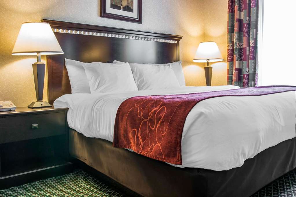 Comfort Suites Canton Detroit - photo 14