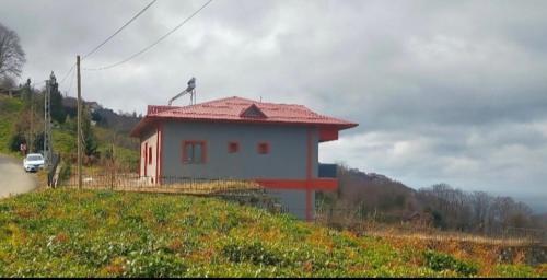 Koci Otel — Pazar