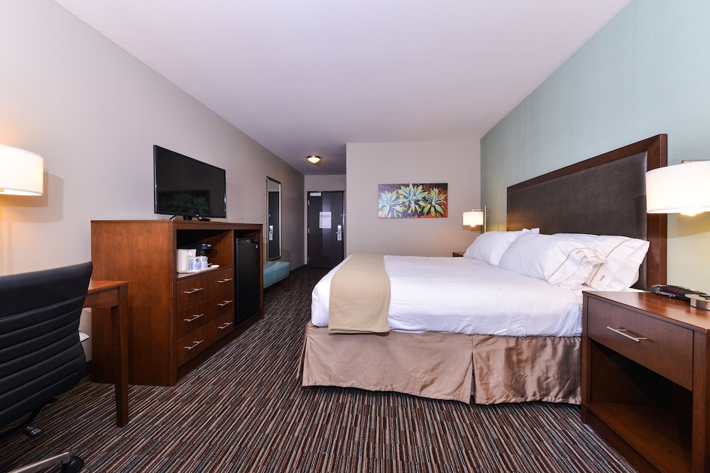 Holiday Inn Express & Suites Indio Coachella Valley by IHG - photo 7