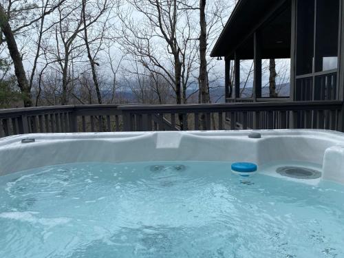 The Great Dane in Ferguson, United States