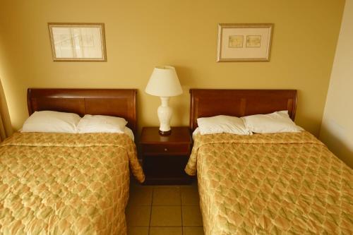 Sea Cove Motel Ocean City - photo 12