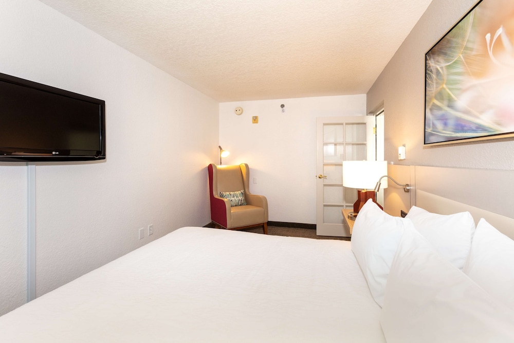 Hilton Garden Inn Daytona Beach Airport - photo 44