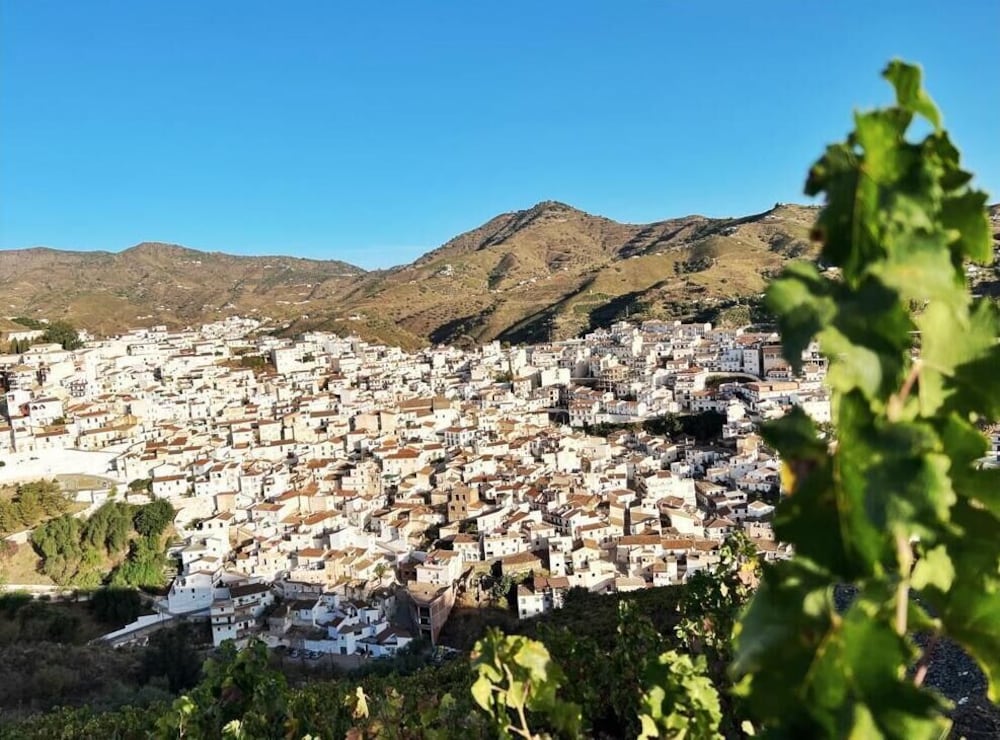 La Lipa Suites — 4-Star Luxury Hotel in Almachar, Spain