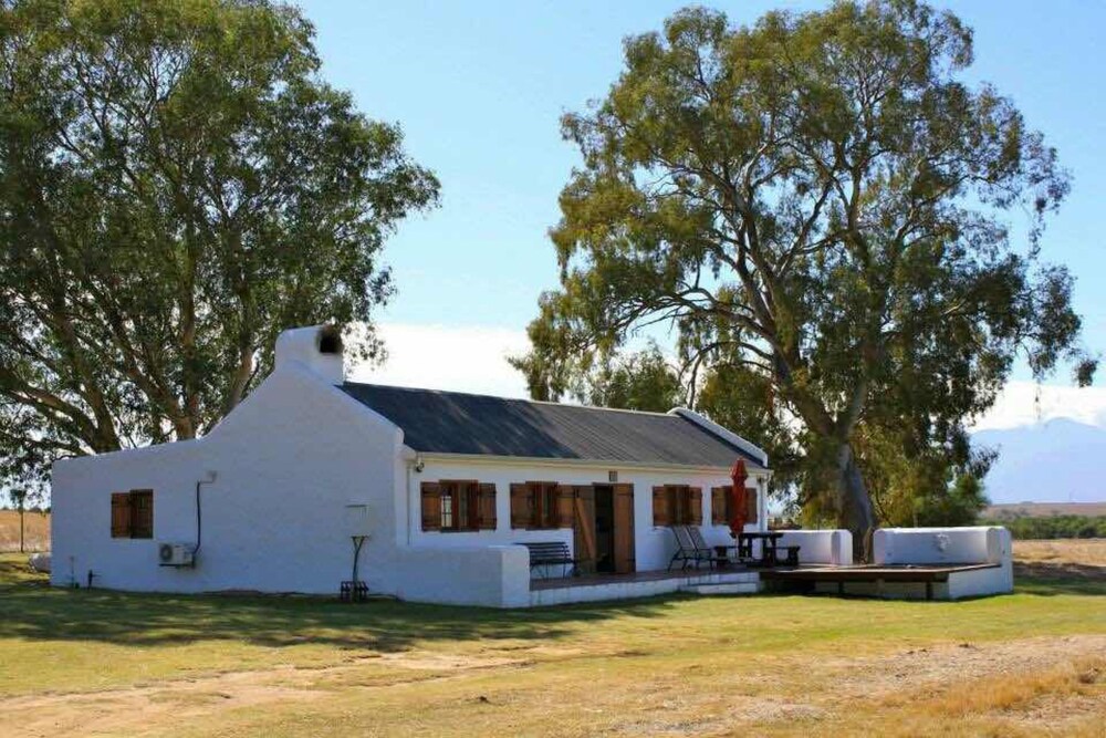 Denneboom Vineyards and Wildlife — 4-Star Luxury Hotel in Paarl, South Africa