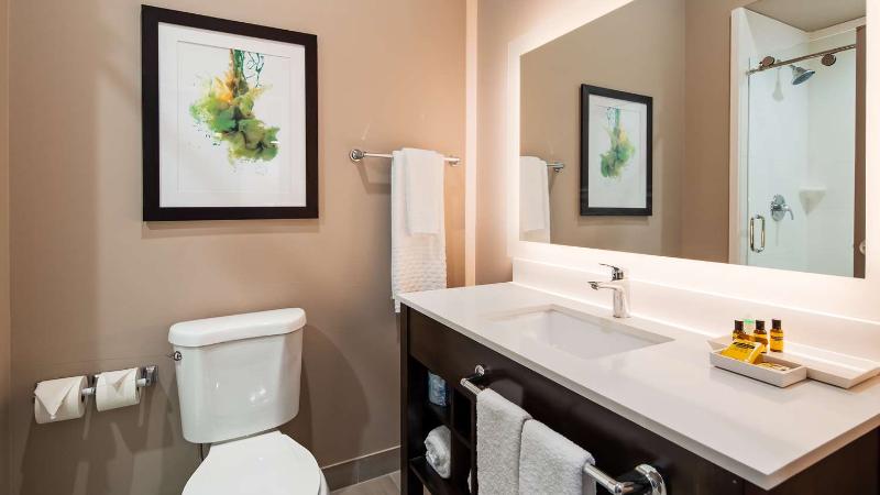 Best Western Plus Executive Residency Ascension Hotel - photo 40