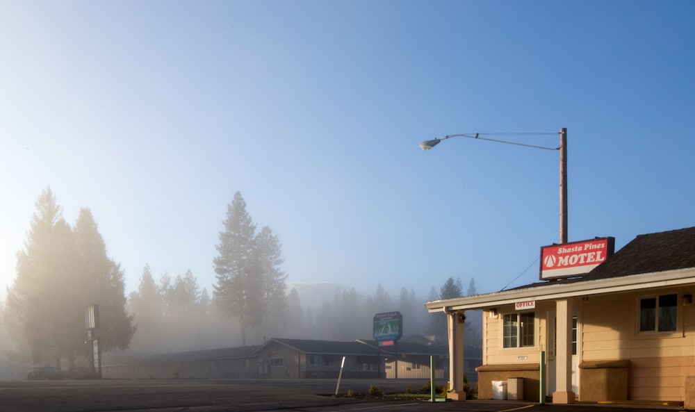 Shasta Pines Motel & Suites - photo 52