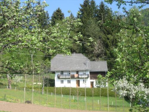 Ferienhaus Mesnerhaus Steuerberg — hotel in Feldkirchen In Kaernten