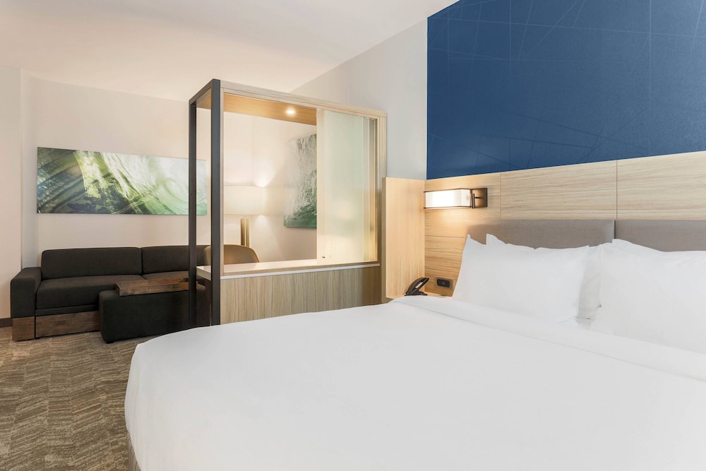 SpringHill Suites by Marriott Tallahassee North - photo 11