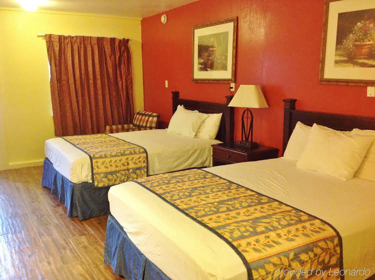 Budget Host Inn Arlington - photo 3
