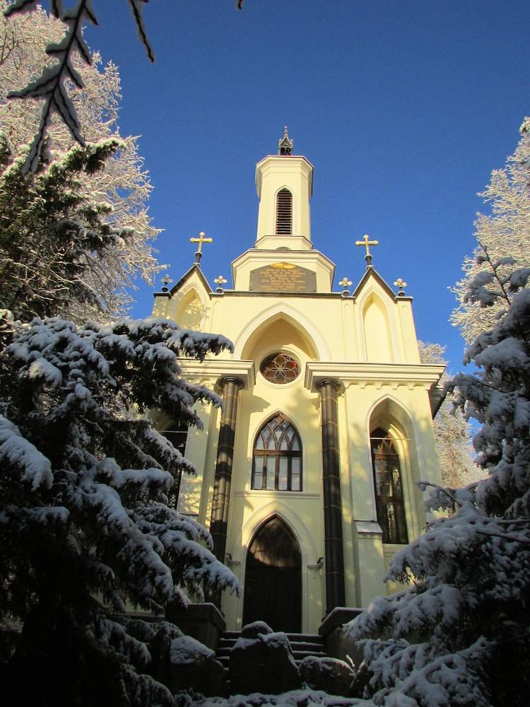 Outdoor wedding area