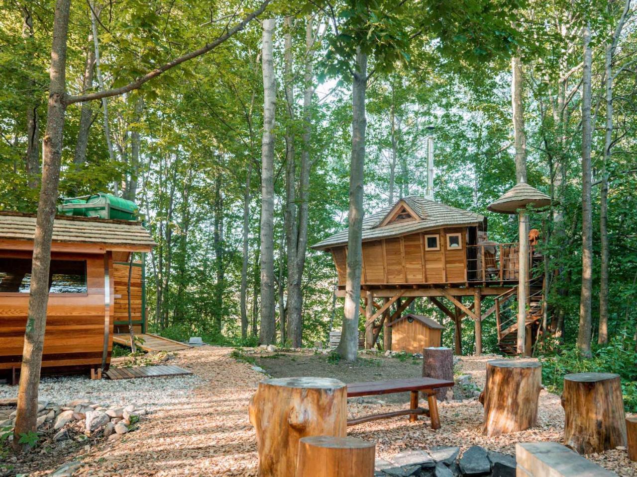 Treehous Sneznik S Wellness in Kraliky, Czech Republic