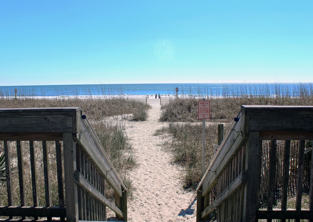 Meridian Plaza by Palmetto Vacations - photo 35