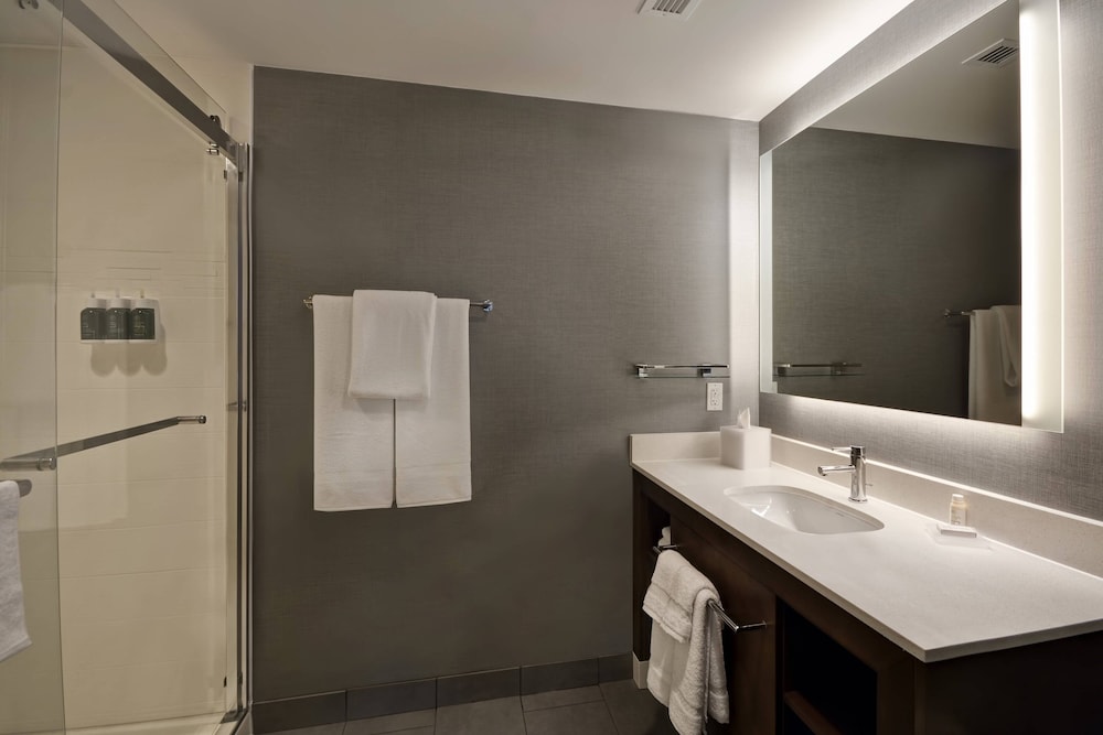 Residence Inn by Marriott New Orleans French Quarter Area Central Business District - photo 53