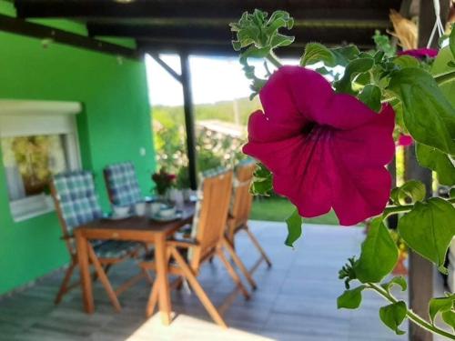 Ruralna kuća za odmor Viktorija pet-friendly hotel Caglin