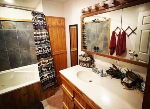 The Hideaway at Bear Mountain Log Cabins - photo 9