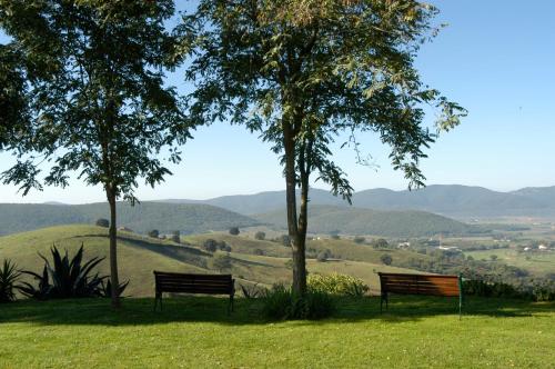 Podere Cavone Casale degli Ulivi — 4-Star Luxury Hotel in Montiano, Italy
