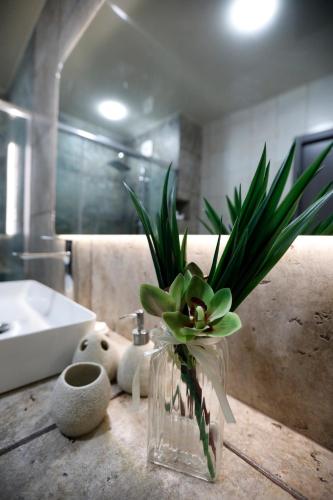 1 BR Apartment in Isani