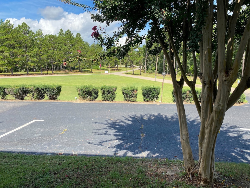 Carolina Pine Inn - photo 7