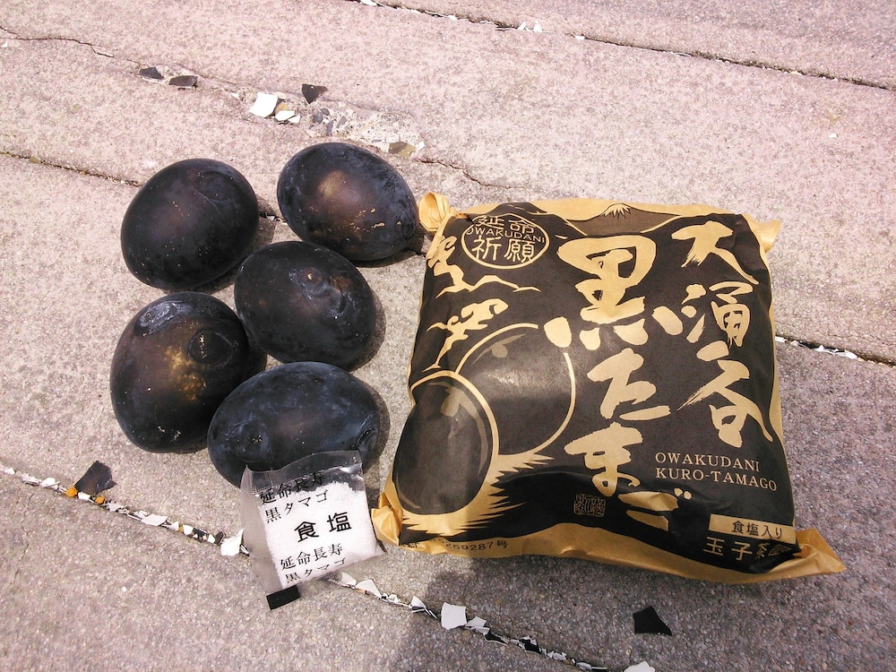 Fukushimakan - carbon neutral hotel in Hakone