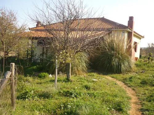 Havouli Studio 1 - last minute hotel in Unknown City