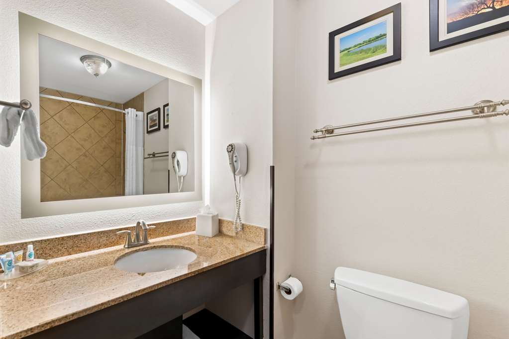 Comfort Inn & Suites Near Lake Lewisville - photo 9
