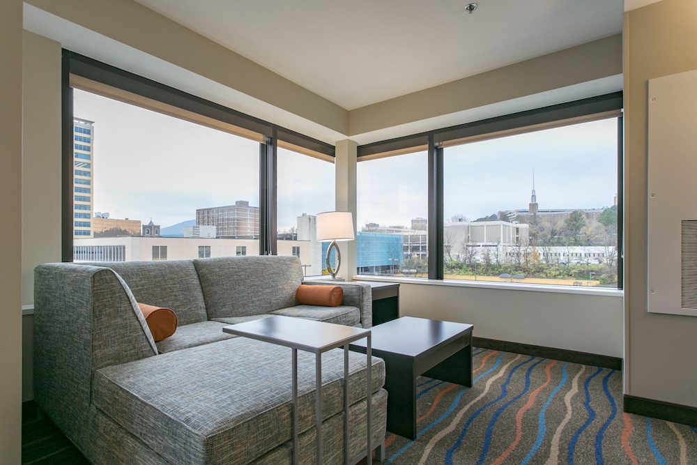 Holiday Inn Hotel & Suites Chattanooga Downtown by IHG - photo 14